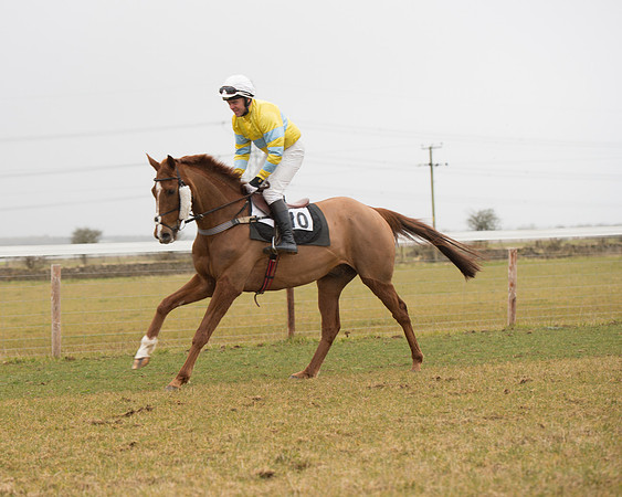 Race 6 - Open Maiden (52 of 120).jpg
