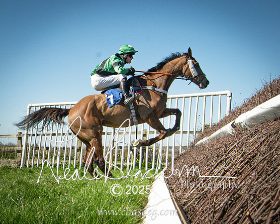 Race 4 - Mixed Open (109 of 168)