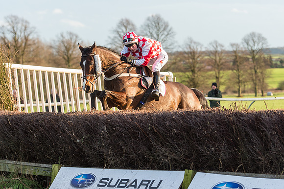 Race 6 - Novice Riders (99 of 103).jpg