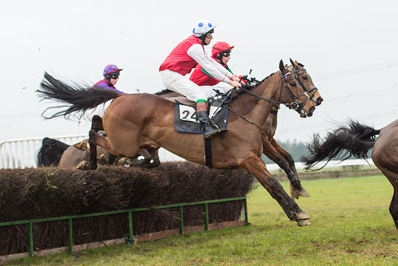 Race 6 - Open Maiden Race Div 1  (45 of 90).jpg