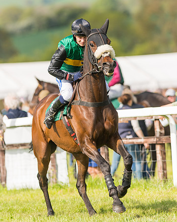 Race 5 - Restricted  (35 of 164)