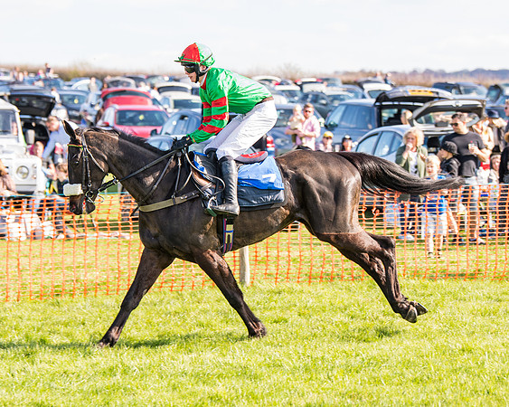 Race 5 - The Waverton Investment Management Ltd Restricted Race farmers and subscribers Race  (20 of 161)