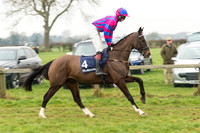 Race 5 - The Restricted Race (11 of 86).jpg