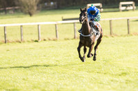 Pony Race 2 (17 of 22).jpg