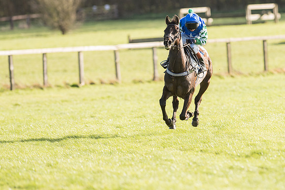Pony Race 2 (17 of 22).jpg
