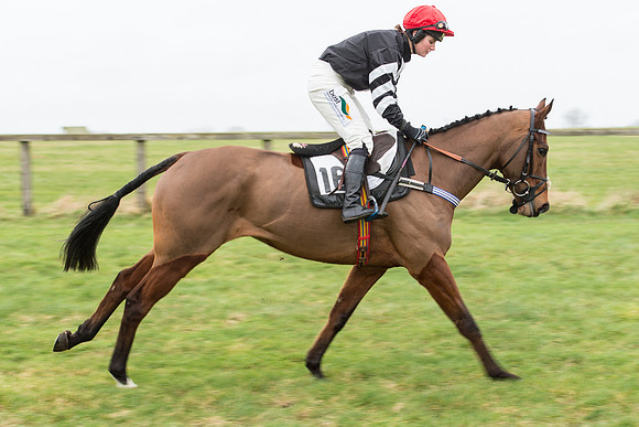 Race 7 - Open Maiden (12 of 131).jpg