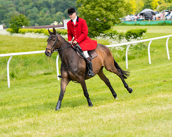 Race 1 - The Little Red owner Trainer conditions (100 of 345)