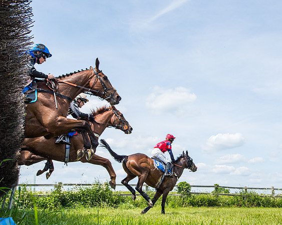 Race 2 - PPORA Novice Riders (239 of 444)
