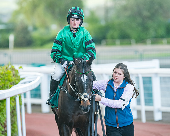 Race 5 - Mares Open  (35 of 329)