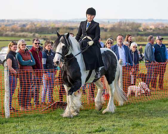 Side Saddle dash  (8 of 170)