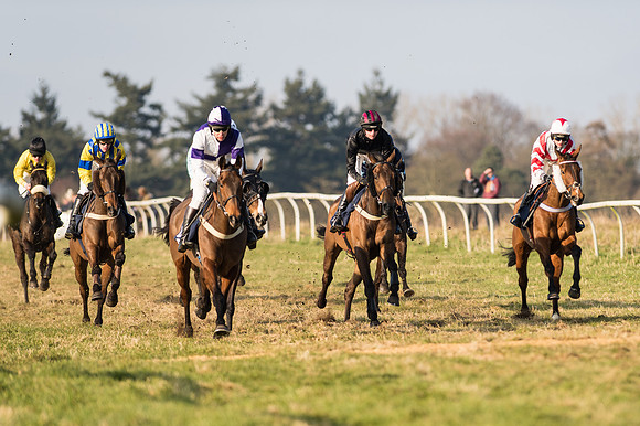 Race 5 - Restricted Race (23 of 64).jpg