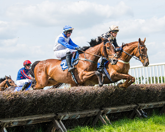 Race 2 - PPORA Novice Riders (209 of 444)