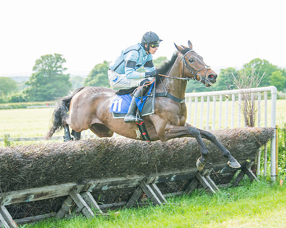 Race 6 - Open Maiden (168 of 346)
