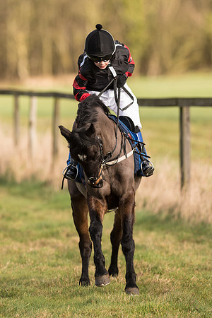 Pony Race 1  (14 of 34).jpg