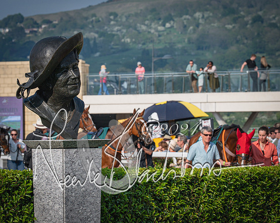 Race 3 - The Junior Jumpers open hunter's steeple chase 3m1f56y (1 of 156)