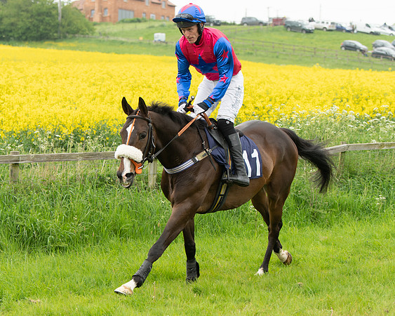Race 2 - Five and Over restricted (24 of 136)