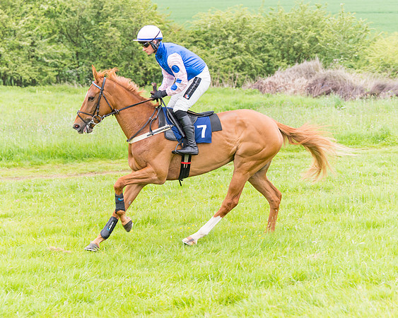 Race 6 - Maiden (14 of 129)