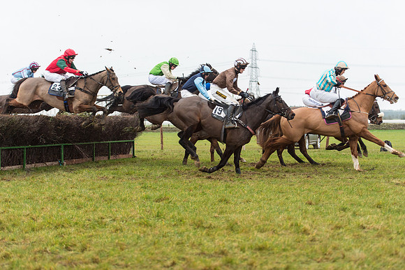 Race 6 - Open Maiden Race Div 1  (60 of 90).jpg