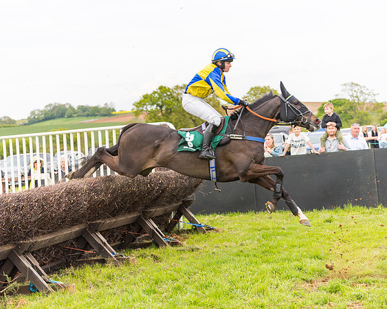 Race 7 - Veteran Horse conditions (111 of 244)