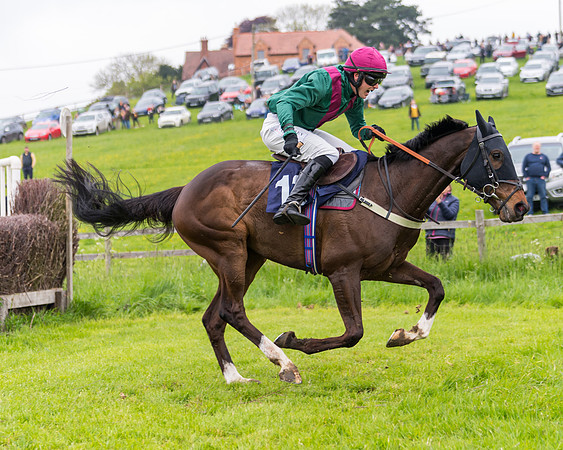 Race 2 - Five and Over restricted (99 of 136)