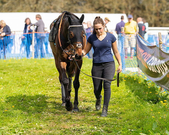 Race 4 - Ladies Conditions  (8 of 86)