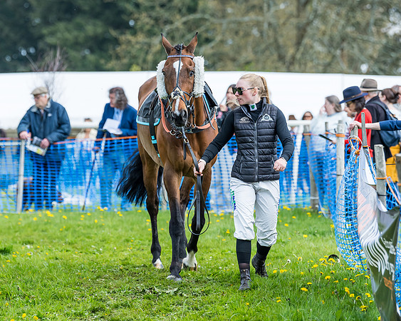 Race 2 - Veteran Horse  (11 of 82)