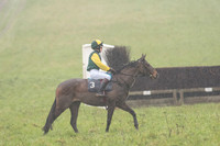 Pony Race 1 -  (3 of 20).jpg