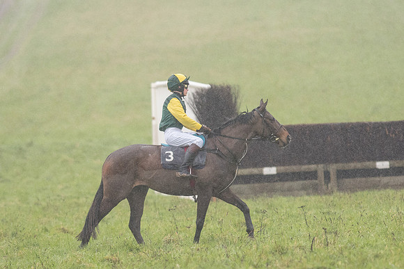 Pony Race 1 -  (3 of 20).jpg