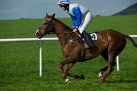 Race 7 -  12
