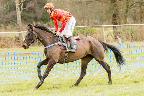 Race 4 - Restricted Race (10 of 72).jpg
