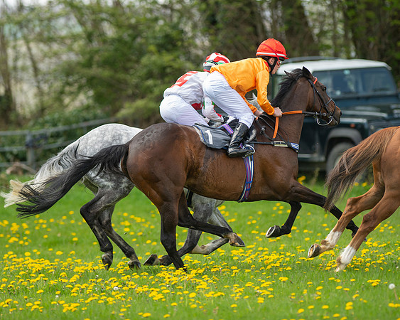 Ponies and Side saddle (47 of 69)