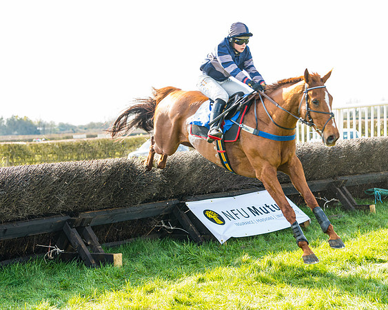 Race 4 - The Warehouse Reit Mixed Open Race  (66 of 124)