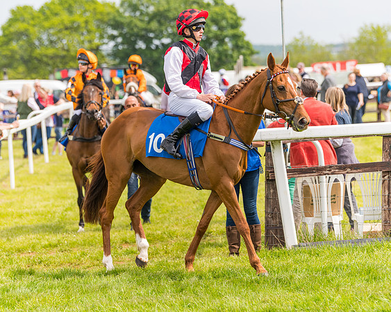 Pony Race 2 - 148cm (13 of 142)