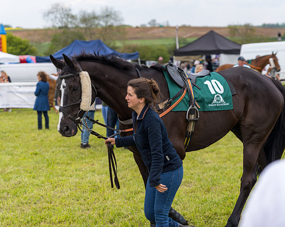 Race 7 - Veteran Horse conditions (15 of 244)