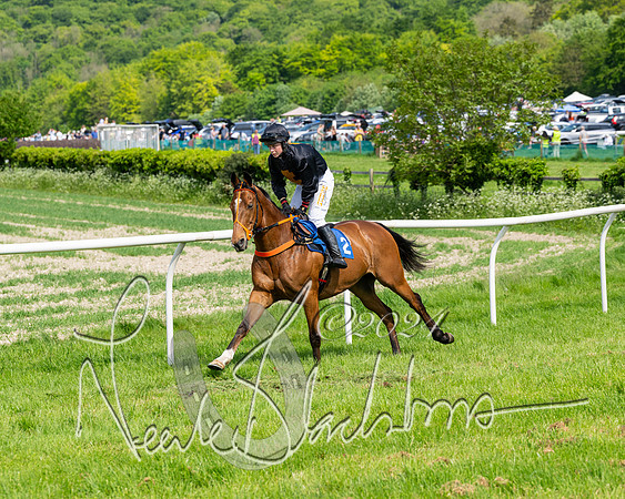 Race 3 - Ladies Open  (51 of 133)