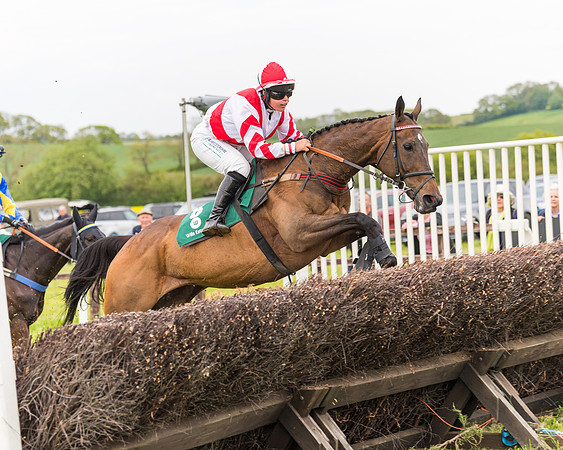 Race 7 - Veteran Horse conditions (106 of 244)