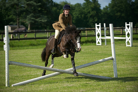 SOHS PC Summer Show at BCA 17th June 2012
