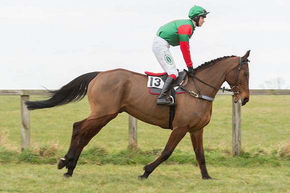 Race 2 - PPORA Novice riders  (52 of 186).jpg