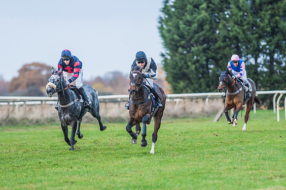 2 Mile 4 Furlong Maiden Race -27