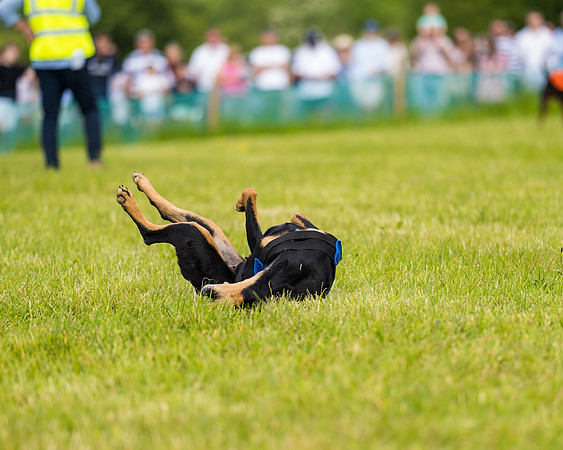 Draghounds Race (11 of 212)