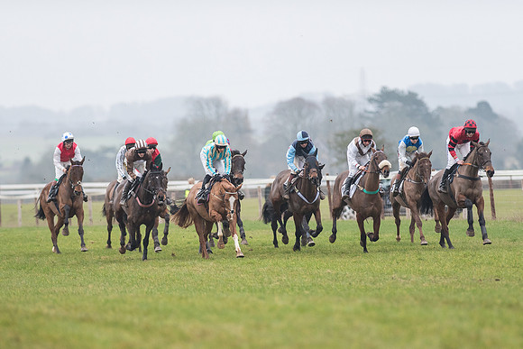 Race 6 - Open Maiden Race Div 1  (36 of 90).jpg