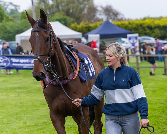 Race 6 - The Maiden [NWFAA] (7 of 143)