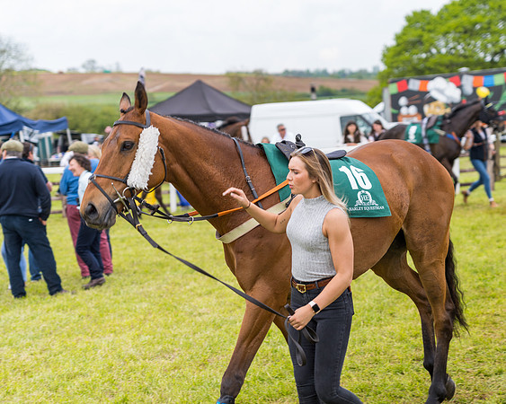 Race 7 - Veteran Horse conditions (20 of 244)