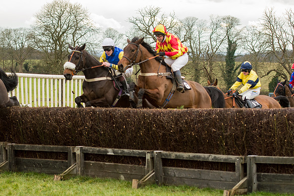 Race 5 - Open Maiden (21 of 38)-2.jpg