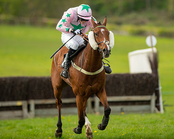 Race 5 - Open Maiden  (75 of 89)