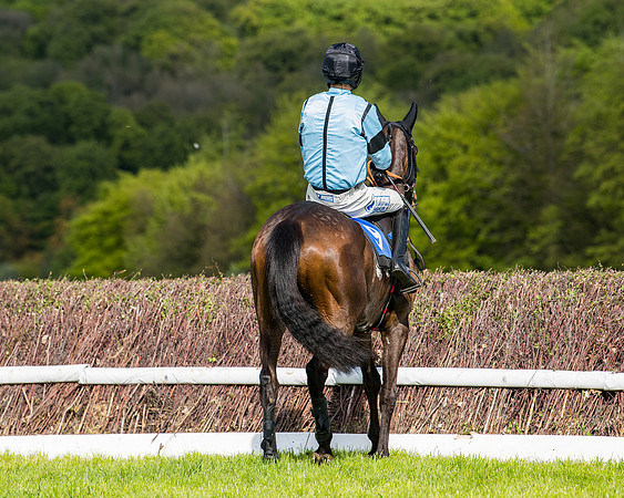 Race 5 - 2m5f Maiden (36 of 144)