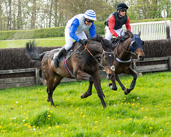 Race 2 - Veteran Horse  (73 of 82)