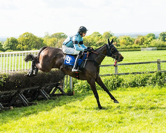 Race 5 - 2m5f Maiden (79 of 144)