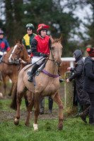 Race 8 - Young Horse Maiden  (5 of 85).jpg