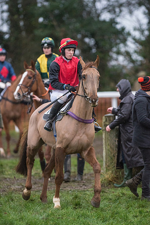 Race 8 - Young Horse Maiden  (5 of 85).jpg